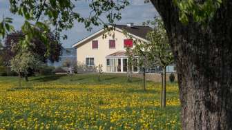 Seealp Farm