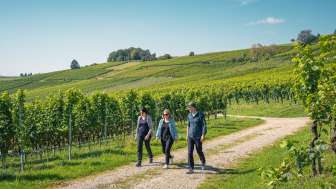 2024, Schaffhausen, Switzerland Tourism, Thurgau