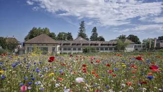 Arenenberg Garden World