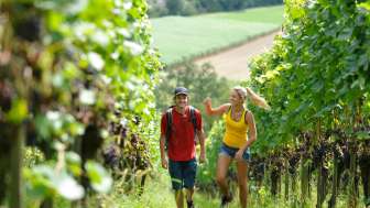 Wine trail Weinfelden