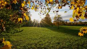 Kreuzlingen, Thurgau, season, Seeburgpark, Switzerland, fall