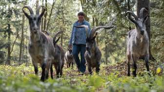 Geissgada – Goat Events with Heart