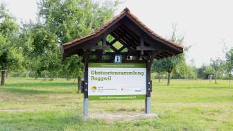 Roggwil TG fruit variety collection