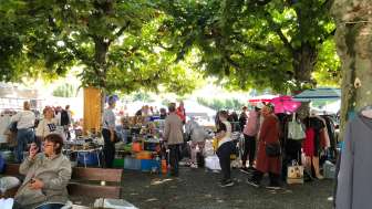 Flea market in the Dreispitzpark Kreuzlingen Flea market in the Dreispitzpark Kreuzlingen