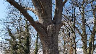 Güttingen bathing area