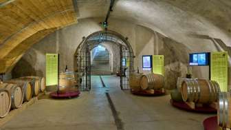 Special exhibition: 2000 years of wine at Arenenberg Special exhibition: 2000 years of wine at Arenenberg