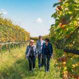 2024, Thurgau, Switzerland Tourism, Schaffhausen