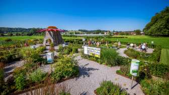 Echinapoint adventure center