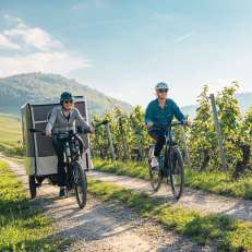 2024, Schaffhausen, Switzerland Tourism, Thurgau
