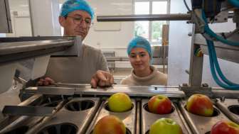 Steinebrunn Apple Farm Production