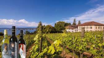 Wine experience at the Arenenberg