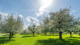 Eich-Hof vacation apartment