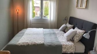 B&B Dandelion
