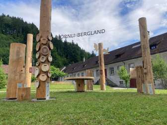 Fischingen_Hoernli-Bergland_Waldlichtung_4