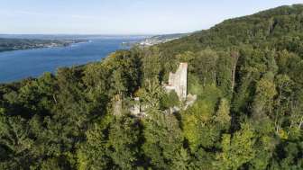 Neuburg ruins