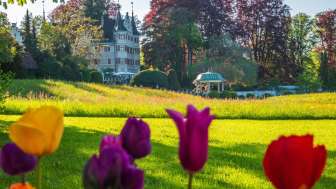 Crime trail light Kreuzlingen