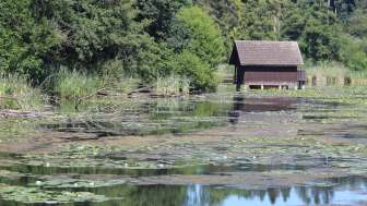 Bommer pond