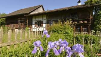 Plank frame house