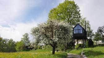 Tree house Thurgau