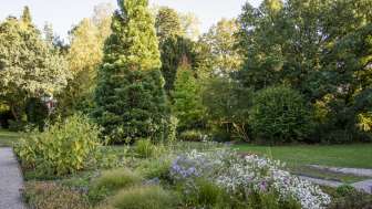 Botanical Garden
