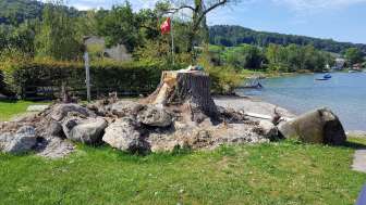 Mammern lakeside resort