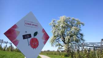Altnau apple trail Altnau apple trail
