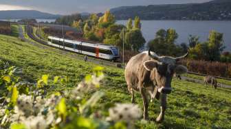 Experience the lake line with Thurbo