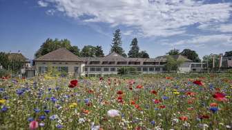 Arenenberg Garden World