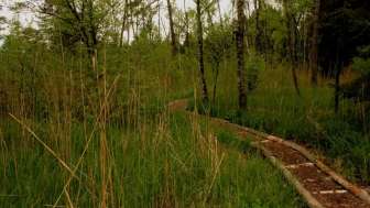 Hudelmoos nature reserve