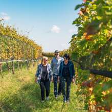 2024, Thurgau, Switzerland Tourism, Schaffhausen
