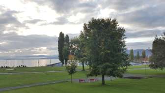 Arbon playground