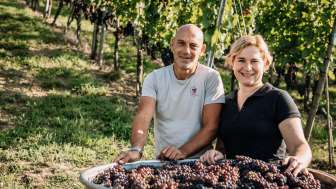 Haag Wines - Vinotheque