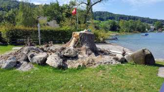 Mammern lakeside resort