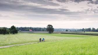 Guided bike tour through the Oberthurgau region