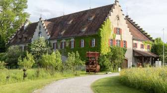 Lake Museum
